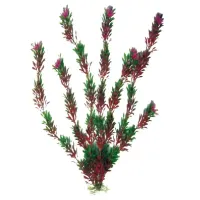 Amtra augalas Flora Bicolor dekoracija akvariumui; 13cm, 17cm, 23cm