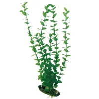 Amtra augalas Rotala dekoracija akvariumui; 13cm, 17cm, 23cm
