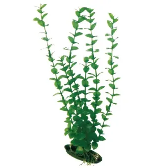 Amtra augalas Rotala dekoracija akvariumui; 13cm, 17cm, 23cm