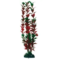 Amtra augalas Liudwigia Bicolor dekoracija akvariumui; 10cm, 17cm, 23cm, 33cm, 45cm