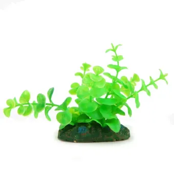 Aqua Nova augalas Plant 081 dekoracija akvariumui; 10cm