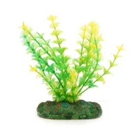 Aqua Nova augalas Ceratophyllum demersum ragalapis gelsvas dekoracija akvariumui; 13cm