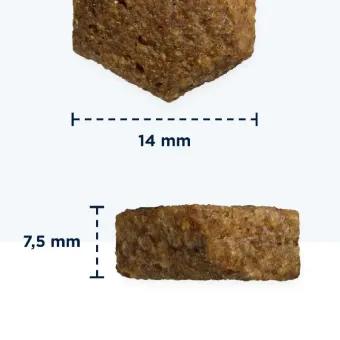 Eukanuba VD Dermatosis sausas pašaras suaugusiems šunims nuo uždegiminių odos būklių, alergijos, žuvis; 5kg, 12kg