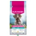 Eukanuba Special Care Working & Endurance sausas pašaras aktyviems šunims visų veislų, vištiena; 15kg
