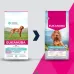 Eukanuba Special Care Sensitive Digestion All Breeds sausas pašaras turintiems jautrų skrandį šunims visų veislų, vištiena; 2.3kg, 12kg