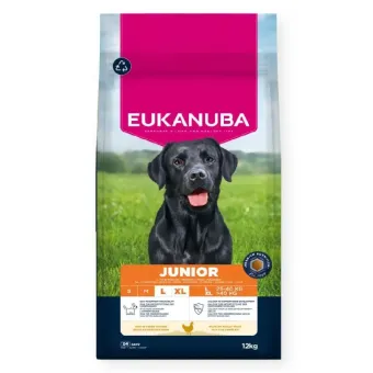 Eukanuba Life Care Junior L/XL Chicken sausas pašaras jauniems šunims didelių veislų, vištiena; 15kg