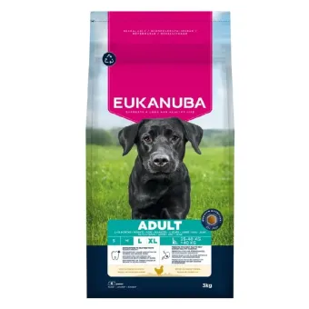 Eukanuba Life Care Adult L/XL Chicken sausas pašaras suaugusiems šunims didelių veislų, vištiena; 15kg
