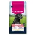Eukanuba Life Care Senior L/XL Chicken sausas pašaras senyviems šunims didelio dydžio veislų, vištiena; 15kg