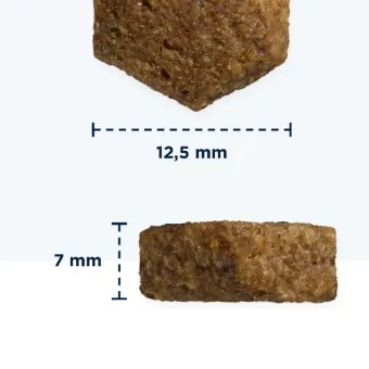 Eukanuba Grain Free Adult S XL Deer sausas pašaras suaugusiems šunims visų veislų, elniena; 3kg, 12kg