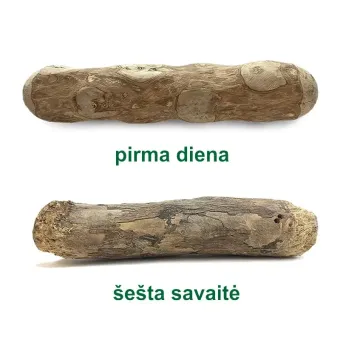 Good Wood kavamedžio šaka Medium kramtalas šunims iki 20 kg