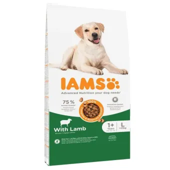 Iams Adult L Breeds Lamb sausas pašaras suaugusiems šunims didelių veislių, ėriena; 3kg, 12kg Iams Adult L Breeds Lamb sausas pašaras suaugusiems šunims didelių veislių, ėriena; 3kg, 12kg