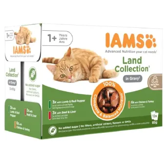 Iams Delights Cat Land Collection Gravy konservuotas pašaras katėms, rinkinys; 12x85g Iams Delights Cat Land Collection Gravy konservuotas pašaras katėms, rinkinys; 12x85g