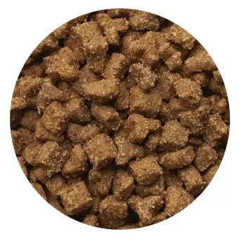 Iams Adult Cat Multicat sausas pašaras suaugusioms katėms, lašiša, vištiena; 15kg Iams Adult Cat Multicat sausas pašaras suaugusioms katėms, lašiša, vištiena; 15kg