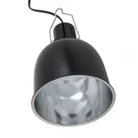 Reptile Nova Lempos gaubtas terariumui; 14cm