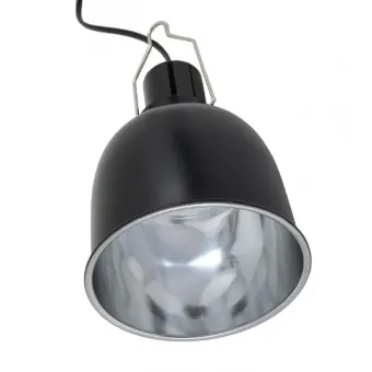 Reptile Nova Lempos gaubtas terariumui; 14cm