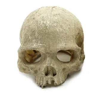 Reptile Nova Skull dekoracija kaukolė terariumui, akvariumui; 11x14cm