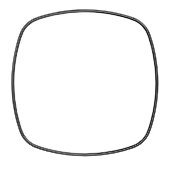 Tetra Sealing Ring sandarinimo tarpinė išoriniams filtrams EX 500/700/1000