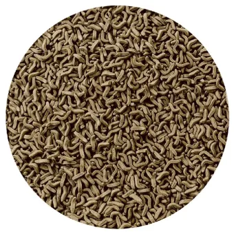 Tetra ReptoMin maistas vandens vėžliams; 250ml