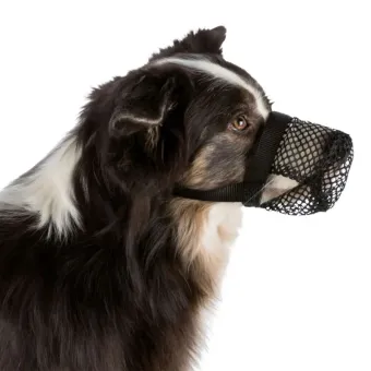 Trixie PBP antsnukis apsauga nuo apnuodyto maisto; S, SM, ML, L, XL