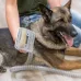 Trixie Grooming Kit kailio siurblys su kirpimo mašinėle ir šukų rinkiniu