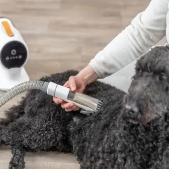 Trixie Grooming Kit kailio siurblys su kirpimo mašinėle ir šukų rinkiniu Trixie Grooming Kit kailio siurblys su kirpimo mašinėle ir šukų rinkiniu