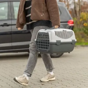 Trixie Capri 3 S grey gyvūnų transportavimo dėžė boksas; 40x38x61cm