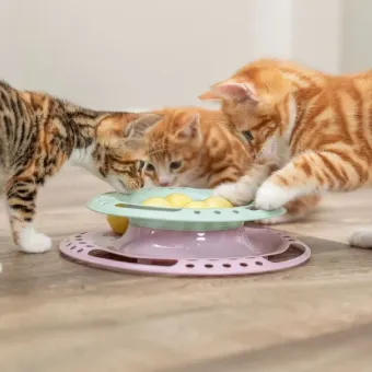 Trixie Junior Kitten Circle žaidimas katėms; 24cm