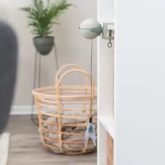 Trixie Catch It interaktyvus elektroninis žaislas katėms