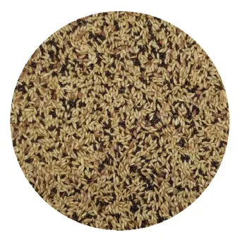 Versele Laga Prestige Canaries lesalas kanarėlems; 1kg