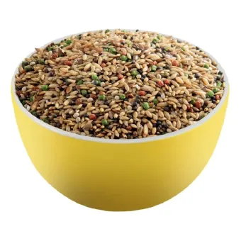 Versele Laga Premium Canaries lesalas kanarėlems; 800g