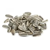 Vitapol nelukštentos saulėgrąžos paukščių lesalas; 1kg, 10kg, 20kg