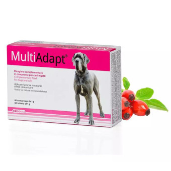 Dogoteka Multi Adapt maisto papildas; 60tab Dogoteka Multi Adapt maisto papildas; 60tab