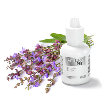 Dogoteka AntiLact Pet maisto papildas šunims ir katėms; 50ml Dogoteka AntiLact Pet maisto papildas šunims ir katėms; 50ml
