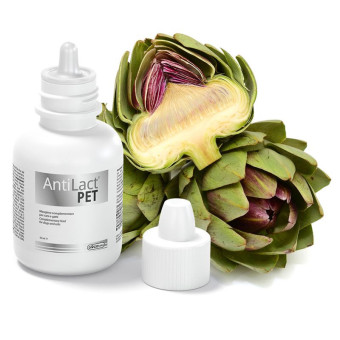 Dogoteka AntiLact Pet maisto papildas šunims ir katėms; 50ml Dogoteka AntiLact Pet maisto papildas šunims ir katėms; 50ml