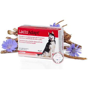 Dogoteka Lacto Adapt maisto papildas šunims ir katėms; 60tab Dogoteka Lacto Adapt maisto papildas šunims ir katėms; 60tab