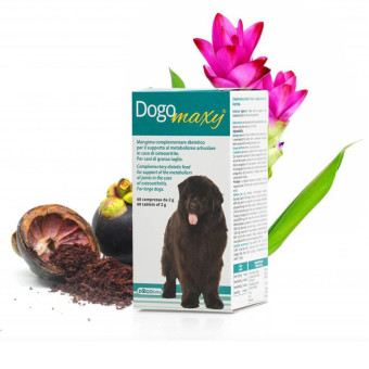Dogoteka Dogo Maxi maisto papildas šunims; 60tab Dogoteka Dogo Maxi maisto papildas šunims; 60tab