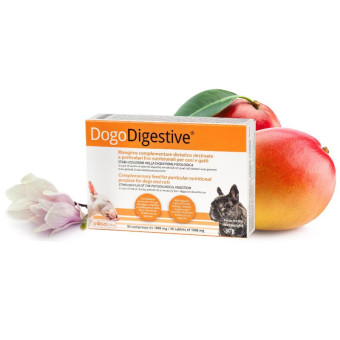 Dogoteka Dogo Digestive maisto papildas šunims ir katėms; 30tab Dogoteka Dogo Digestive maisto papildas šunims ir katėms; 30tab