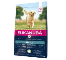 Eukanuba Adult L/XL Breeds Lamb sausas pašaras suaugusiems šunims didelio dydžio veislų, ryžiai, ėriena; 12kg