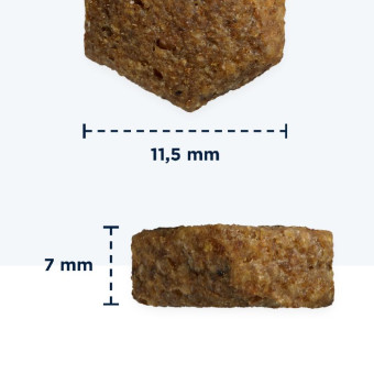 Eukanuba Puppy L/XL Breeds Lamb sausas pašaras šuniukams didelių veislų, ryžiai, ėriena; 2.5kg, 12kg Eukanuba Puppy L/XL Breeds Lamb sausas pašaras šuniukams didelių veislų, ryžiai, ėriena; 2.5kg, 12kg
