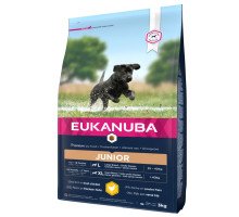 Eukanuba Junior L/XL Breeds Chicken sausas pašaras jauniems šunims didelių veislų, vištiena; 15kg