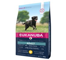 Eukanuba Adult L/XL Breeds Chicken sausas pašaras suaugusiems šunims didelio dydžio veislų, vištiena; 15kg