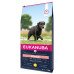 Eukanuba Senior L/XL Breeds Chicken sausas pašaras senyviems šunims didelio dydžio veislų, vištiena; 15kg