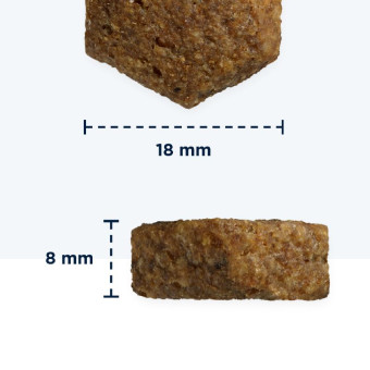 Eukanuba Senior L/XL Breeds Chicken sausas pašaras senyviems šunims didelio dydžio veislų, vištiena; 15kg Eukanuba Senior L/XL Breeds Chicken sausas pašaras senyviems šunims didelio dydžio veislų, vištiena; 15kg