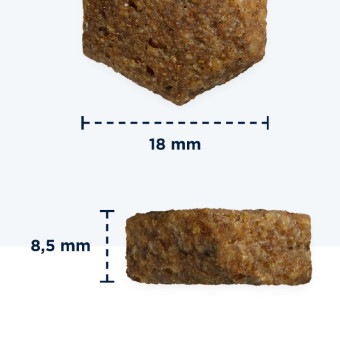 Eukanuba Labrador Retriever Chicken sausas pašaras suaugusiems Labradoro retriveriams, vištiena; 12kg Eukanuba Labrador Retriever Chicken sausas pašaras suaugusiems Labradoro retriveriams, vištiena; 12kg