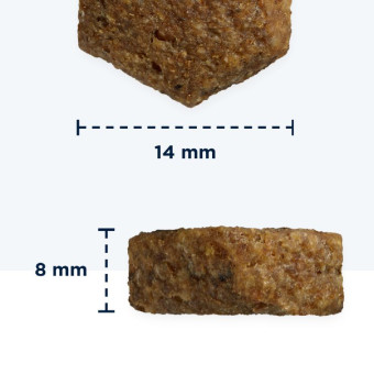 Eukanuba Adult S/M Breeds Lamb sausas pašaras suaugusiems šunims mažo ir vidutinio dydžio veislų, ryžiai, ėriena; 2.5kg, 12kg Eukanuba Adult S/M Breeds Lamb sausas pašaras suaugusiems šunims mažo ir vidutinio dydžio veislų, ryžiai, ėriena; 2.5kg, 12kg