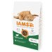 Iams Adult Cat Lamb sausas pašaras suaugusioms katėms, ėriena; 10kg