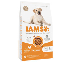 Iams Adult L Breeds Chicken sausas pašaras suaugusiems šunims didelių veislių, vištiena; 3kg, 12kg