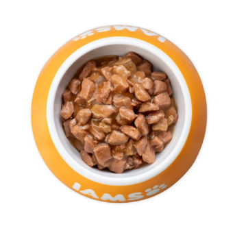 Iams Delights Kitten Chicken konservuotas pašaras kačiukams, vištiena; 85g Iams Delights Kitten Chicken konservuotas pašaras kačiukams, vištiena; 85g