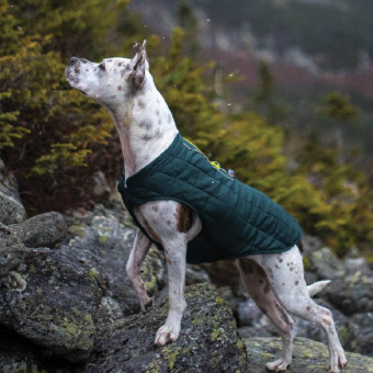 Kurgo Loft Jacket Seaglass žalia/mėlyna striukė šunims; XS-L Kurgo Loft Jacket Seaglass žalia/mėlyna striukė šunims; XS-L