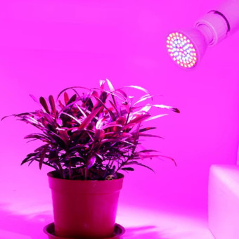 ZOO Fito Grow 80 LED lempa augalams; 25W ZOO Fito Grow 80 LED lempa augalams; 25W